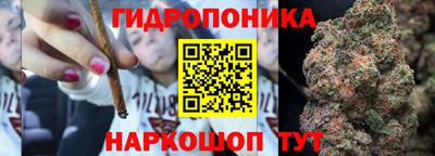 шишки Малгобек